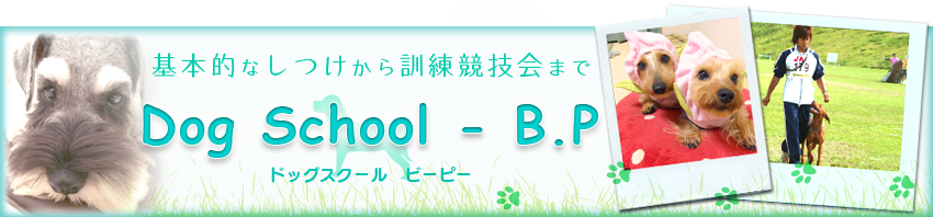 DOG SCHOOL - B.P　『ドッグスクールビーピー』